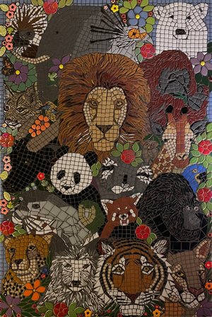 ROBIN BROWNFIELD — portfolio