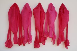Political Meat by Sondra Schwetman (2020)