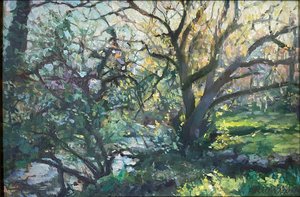 Willow Spring in Springtime Glory by Beverly S Benson