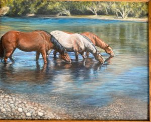 IMG_0841 relax after a long ride by Teresa Warka