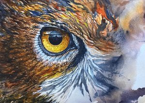 Owl eye by Dave Keck (2026)