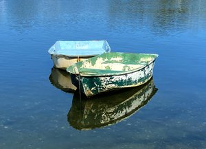 His & Hers  by Joan Foley (2025)