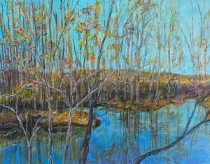 Great Swamp Bird Sanctuary  by Joan Foley