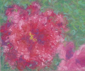 Anne Katzeff — portfolio
