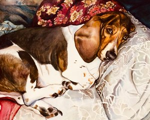 Daisy May  by carla toth (2017)