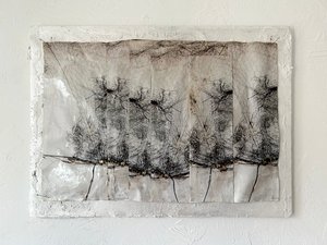 Francesca Schwartz — portfolio