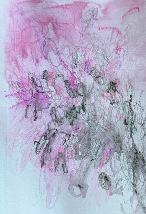 Chinese Fringe Flower - Loropetalum chinense by Kat Wright
