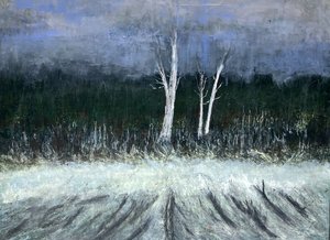 JTRaymond TheWoodedShore by John Raymond (2026)