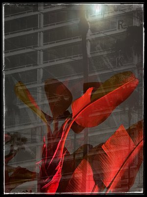 Red Among the Ruins #4 by karen numme