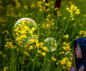 Mustard Bubbles by John Comisky
