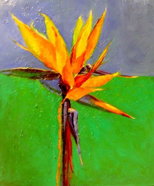 DORIS BESIKOF — portfolio
