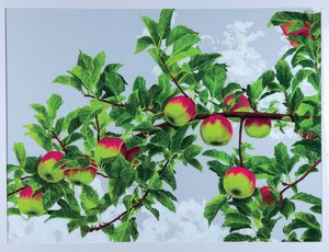 Orchard Series#5 by Ann Jasperson (2025)