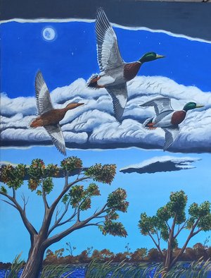 evening flight by Michael Bocci