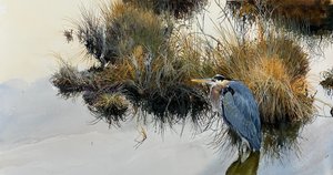 Late Season Great Blue by Robert Barrett (2024)