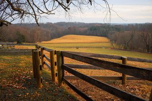 Wendy Fulginiti_Horse Farm by Wendy Fulginiti