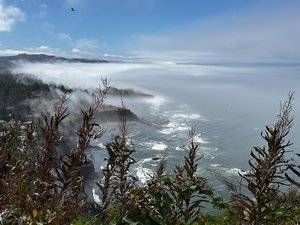 Wendy Fulginiti_Otter Rock Oregon by Wendy Fulginiti