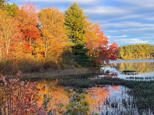 Wendy Fulginiti_Fall Lake by Wendy Fulginiti