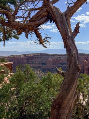 Colorado Monuments by Wendy Fulginiti