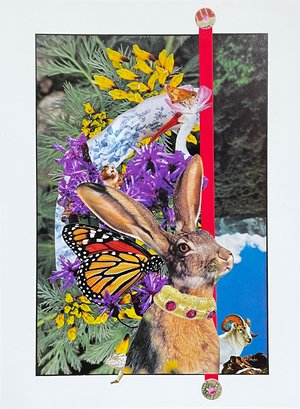 Aesop the Rabbit by Bridgette Bramlage (2026)