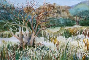 Malibu Creek State Park by Barbara Leitzel