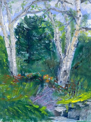 Ball Gardens Birch Summer Charms 8x10 - Plein Air by Catherine Kolecki