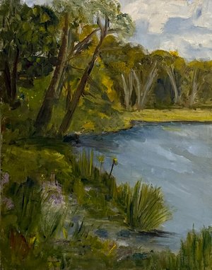 Boy Scout Island   11x14 oil by Catherine Kolecki