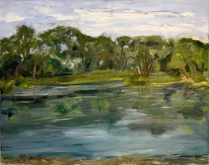 Fabyan Woods small island 16x20 oil by Catherine Kolecki