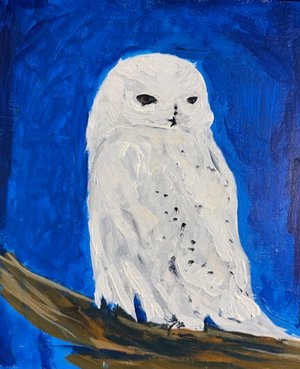 Polar owl acrylic by Catherine Kolecki (2026)