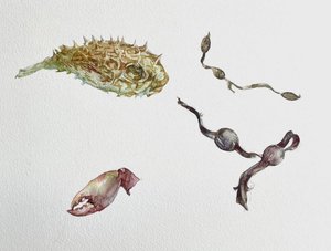 Sea Trinkets by Laura Tan (2023)