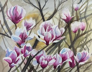 Magnolia Flowers by Ann May Kelly