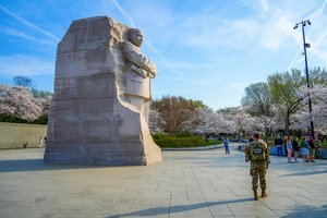 MLK Stone Cherry Blossom Vision by Brian Kent (2026)