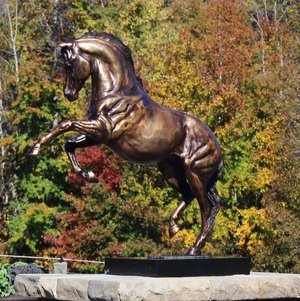 Let's Dance by Beverly Zimmer (2007)