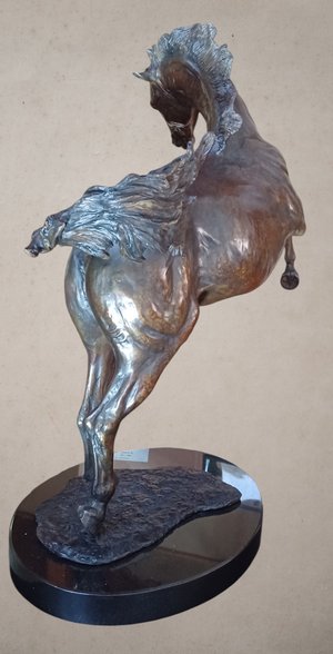 Unabashed by Beverly Zimmer (2024)