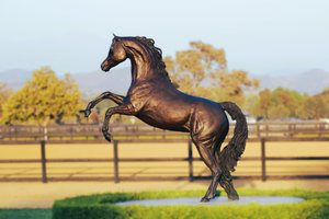 Landon Arabian by Beverly Zimmer-Walker