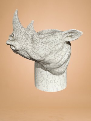 Rhino Crackle by Beverly Zimmer-Walker