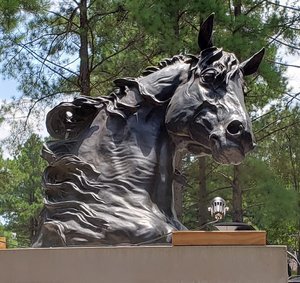 Curious by Beverly Zimmer-Walker