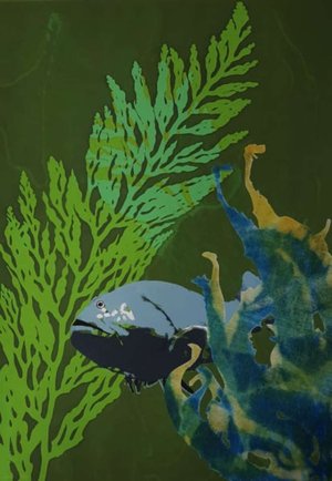 Accidental_By_Catch by Wendy Willis