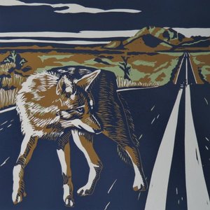Coyote by Wendy Willis (2017)