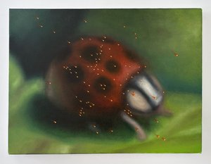 Most Glorious Flying Future by Owen Krzyzaniak Geary (2025)