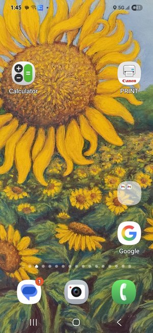 Field of Sun by Joy Yarbrough (2024)