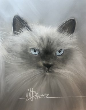 blueeyedcat1 by Rosemary Brewer (2024)