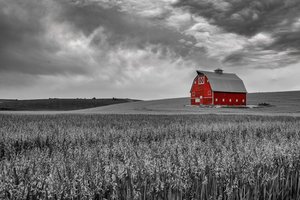 Theis red barn in the Palouse stood out all alone! by Debbie Laverell