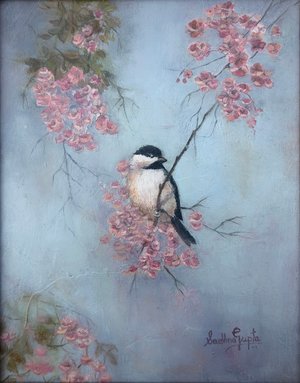 Sadhna Gupta — portfolio