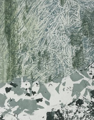 Marsh Patterns by Sally Frank (2026)