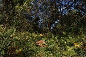 here, is where i by Hannah Stein