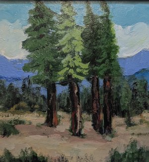 Evergreens at South Lake Tahoe by Juliet Mevi (2025)