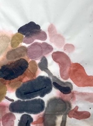 Inside Water by Gretchen Kane (2026)