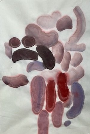Looking Up by Gretchen Kane (2026)