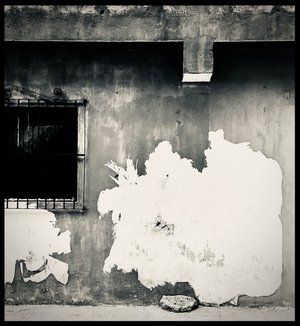 "Una Forma  Abstracta" by Rob Whitcomb