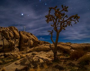 branan mojavecross by BRAD BRANAN